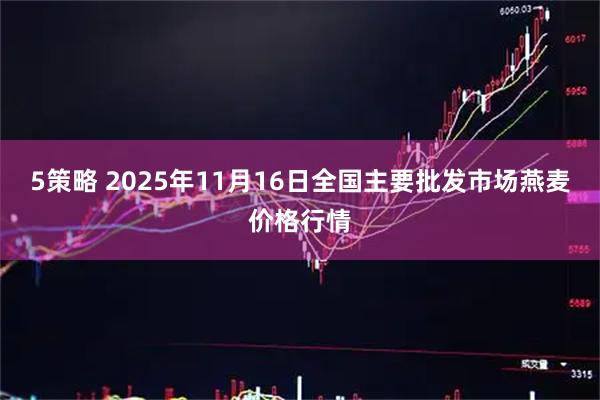 5策略 2025年11月16日全国主要批发市场燕麦价格行情