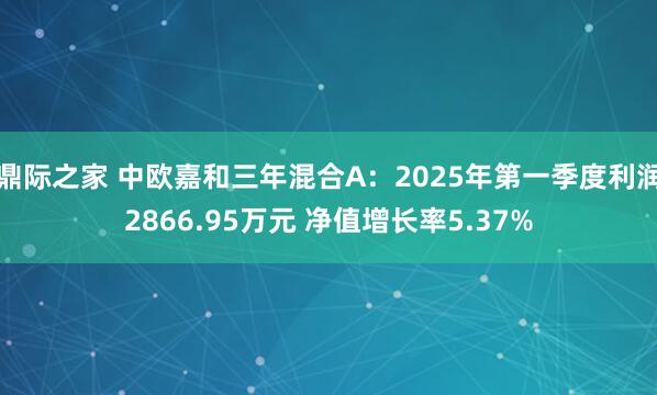 鼎际之家 中欧嘉和三年混合A：2025年第一季度利润2866.95万元 净值增长率5.37%