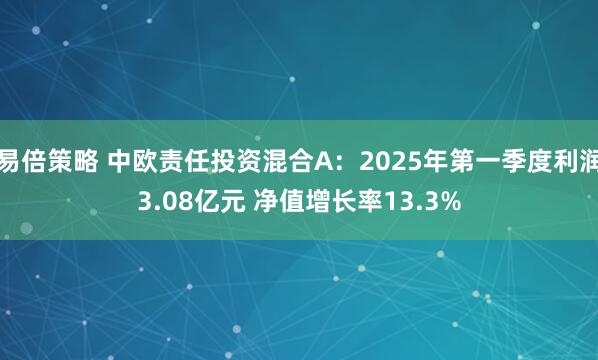 易倍策略 中欧责任投资混合A:2025年第一季度利润3.08亿元 净值增长率13.3%